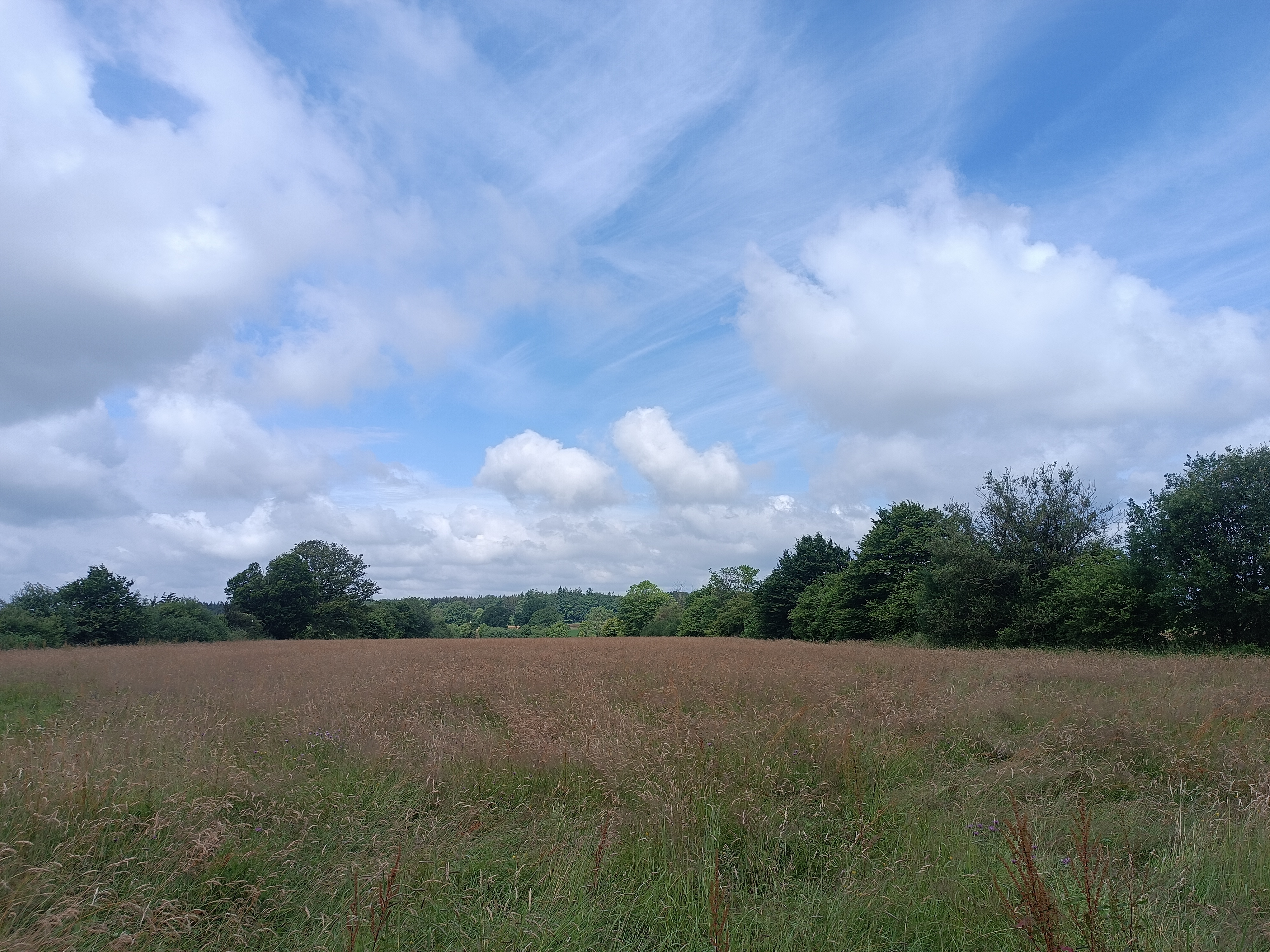 Photo non affichée